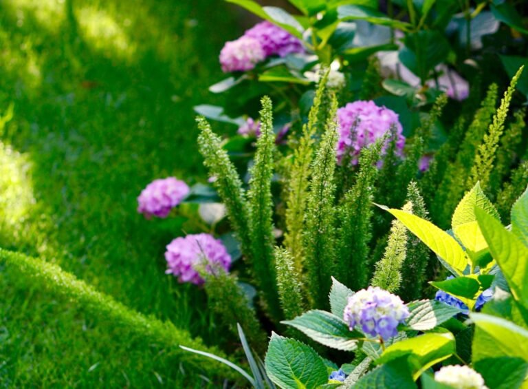 Diseño de jardín con plantas de flores y césped natural